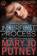 Cover: An Imperfect Process (Circle of Friends, #3) - Pandamax Press