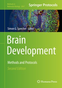 Abbildung von: Brain Development - Humana