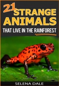 Cover: 21 Strange Animals That Live In The Rainforest (Weird & Wonderful Animals, #2) - Selena Dale