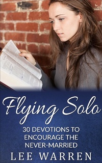Enlarge image Cover: Flying Solo - Lee Warren