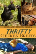 Cover: Thrifty Chicken Breeds: Efficient Producers of Eggs and Meat on the Homestead - Wetknee Books