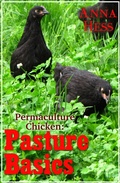 Cover: Pasture Basics - Wetknee Books
