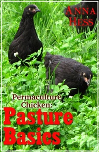 Enlarge image Cover: Pasture Basics - Wetknee Books