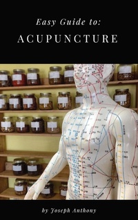 Enlarge image Cover: Easy Guide to: Acupuncture - Self Help