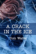 Cover: A Crack in the Ice (Red Files, #2) - Tom Watts