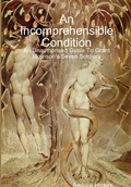 Cover: An Incomprehensible Condition: An Unauthorised Guide to Grant Morrison's Seven Soldiers (Guides to Comics, TV, and SF) - Guides to Comics, TV, and SF