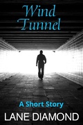 Cover: Wind Tunnel - Evolved Publishing LLC