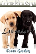 Cover: Adorable Dogs: Labradors - Adorable Dogs