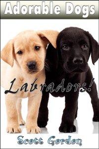 Enlarge image Cover: Adorable Dogs: Labradors - Adorable Dogs