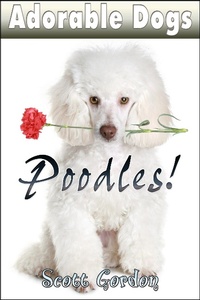 Enlarge image Cover: Adorable Dogs: Poodles - Adorable Dogs
