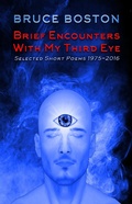 Cover: Brief Encounters with my Third Eye: Selected Poems - Crystal Lake Publishing