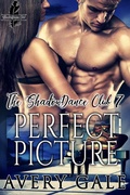 Cover: Perfect Picture (The ShadowDance Club, #7) - Avery Gale