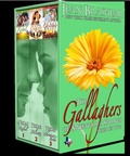 Cover: The Gallaghers of Sweetgrass Springs Boxed Set Two (Texas Heroes) - Jean Brashear