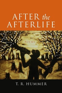 Abbildung von: After the Afterlife - Acre Books