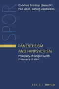 Cover: Panentheism and Panpsychism - Brill Deutschland