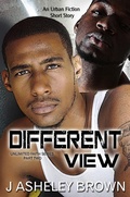 Cover: Different View - J Asheley Brown