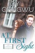 Cover: At First Sight (After, New Beginnings & The Excellence Club Christian Inspirational Fiction, #5) - Divine Breakthrough Infinity