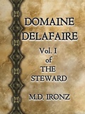 Cover: Domaine Delafaire (THE STEWARD, #1) - Professorial Holdings