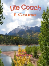 Bild: Life Coach Ecourse - Wee Dilts