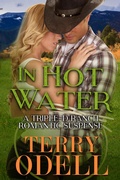 Cover: In Hot Water (Triple-D Ranch, #1) - Terry Odell