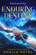 Cover: Enduring Destiny (Joining of Souls, #3) - Shaila Patel
