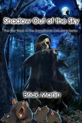 Cover: Shadow Out of the Sky (Transitional Delusions Series, #1) - Seventh Star Press