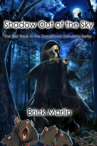 Enlarge image Cover: Shadow Out of the Sky (Transitional Delusions Series, #1) - Seventh Star Press
