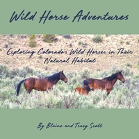 Abbildung von: Wild Horse Adventures - Steadfast Steeds