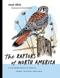 Cover: The Raptors of North America - University of New Mexico Press