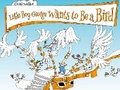 Cover: Little Boy George Wants to Be a Bird - Starfish Bay Children's Books