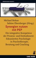 Cover: Synergien nutzen mit PEP - Carl-Auer Verlag