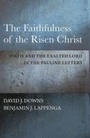 Cover: The Faithfulness of the Risen Christ - Baylor University Press