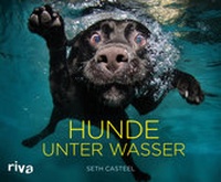 Abbildung von: Hunde unter Wasser - Riva