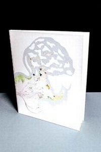 Enlarge image Cover: Peter Doig - Revolver Publishing