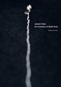 Cover: Jaimini Patel - Studien Verlag