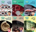 Cover: Science Bug International Year 6 Topic Book Pack - Pearson Education Limited