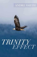 Cover: Trinity Effect - Trilogy Christian Publishing, Inc.