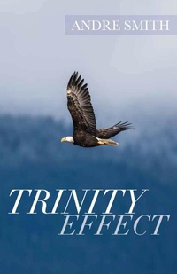 Enlarge image Cover: Trinity Effect - Trilogy Christian Publishing, Inc.