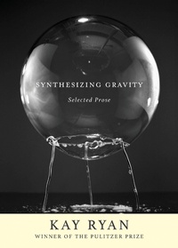 Enlarge image Cover: Synthesizing Gravity - Grove Press / Atlantic Monthly Press