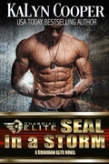 Cover: SEAL in a Storm (Silver SEALs, #5) - Black Swan Publishing, LLC