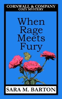 Enlarge image Cover: When Rage Meets Fury - Sara Barton