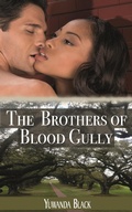 Cover: The Brothers of Blood Gully - Yuwanda Black