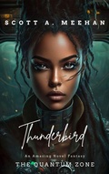 Cover: The Quantum Zone - Thunderbird (Military Thriller, #2) - Scott Meehan