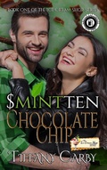 Cover: S(mint)ten Chocolate Chip - Crazy Ink