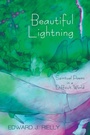 Cover: Beautiful Lightning - Wipf & Stock Publishers