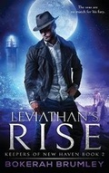 Cover: Leviathan's Rise - Silver Empire