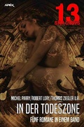 Cover: 13 SHADOWS: IN DER TODESZONE - epubli