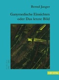 Cover: Ganymedische Einsichten - Sujet