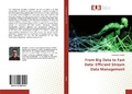 Cover: From Big Data to Fast Data - Editions Universitaires Europeennes