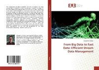 Enlarge image Cover: From Big Data to Fast Data - Editions Universitaires Europeennes
